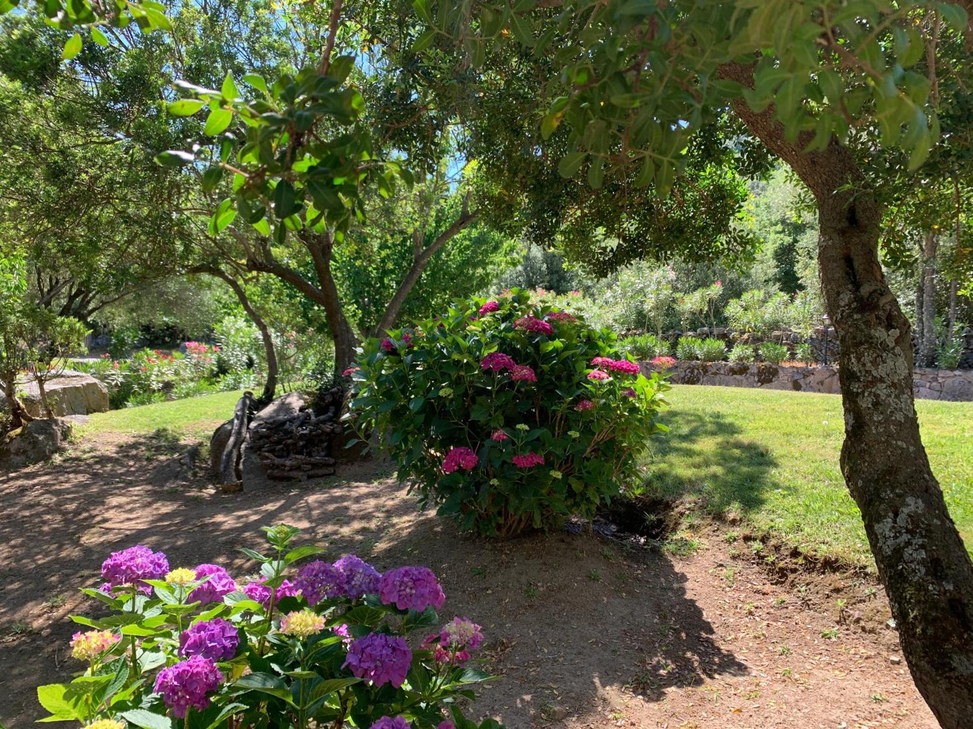 Hotel Valkarana Country Relais (Adults Only) Сант Антонио Ди Галура Екстериор снимка